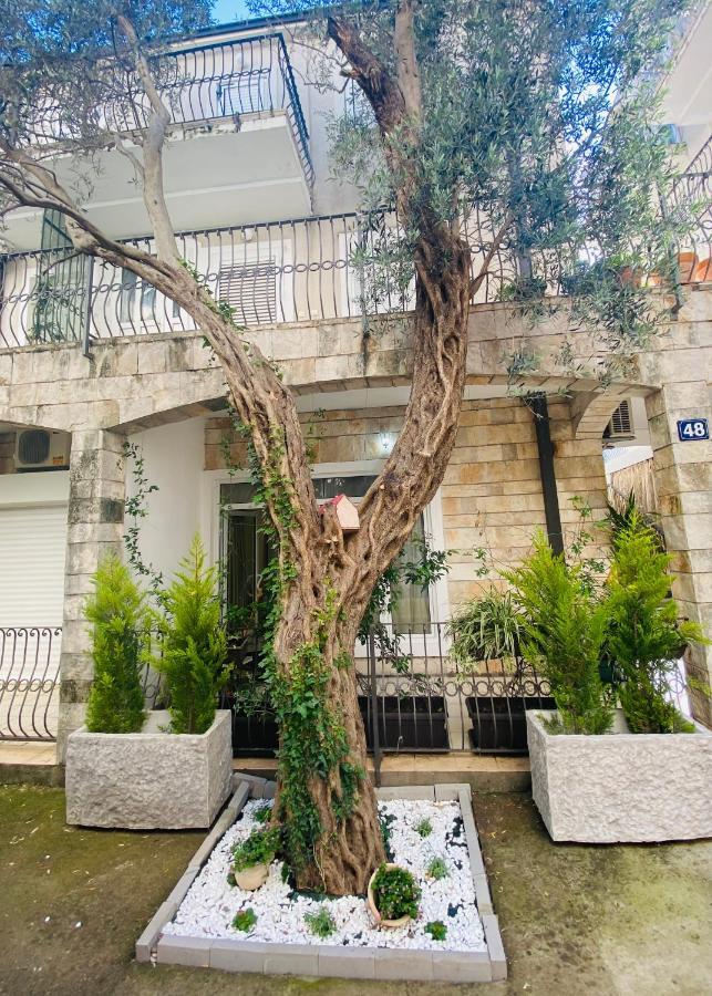 Apartment Oliva1 Petrovac Exterior photo